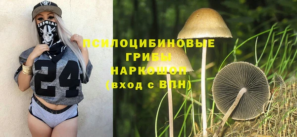 эйфоретик Алзамай