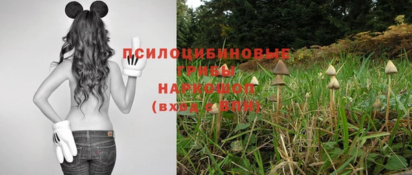 гидропоника Абинск