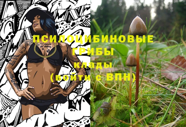 эйфоретик Алзамай