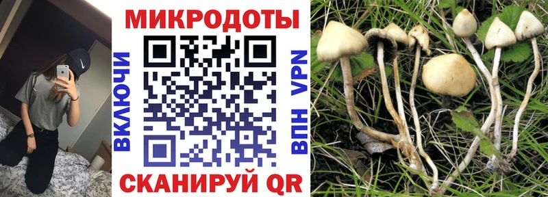 Галлюциногенные грибы мицелий  Тарко-Сале 